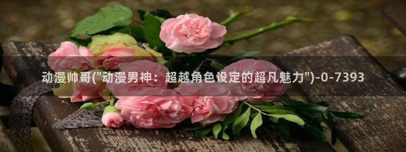 便当动漫:动漫帅哥(\