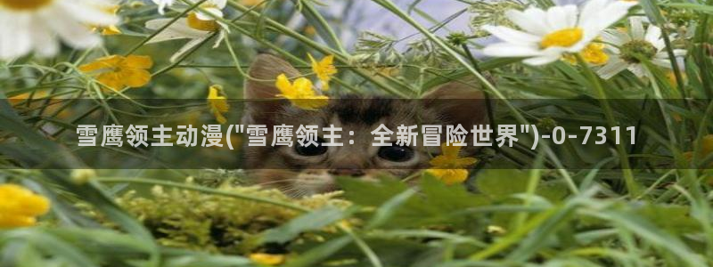 动漫小说:雪鹰领主动漫(\