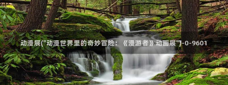 卡通动漫:动漫展(\